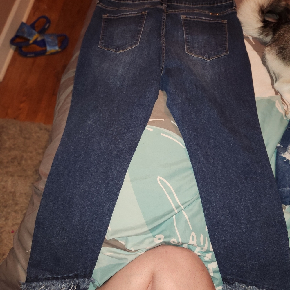 Boutique Capris - Picture 4 of 5